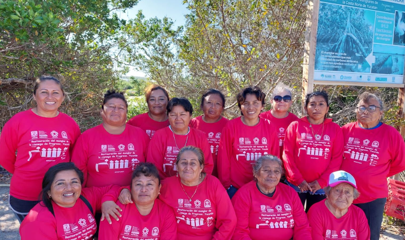 Mujeres protegen manglares en Chelem